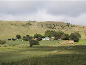 78 m² Farm in Belfast