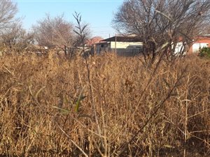1190 m² Land available in Rensburg