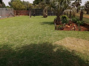 4 ha Farm in Delmas