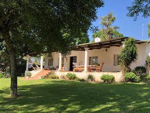 1 ha Smallholding in The Rest