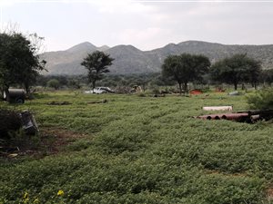 1980 ha Farm in Kuruman