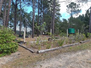 10 ha Farm in Plettenberg Bay