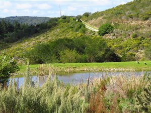 4793 m² Land available in Pezula Private Estate
