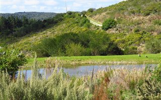 4793 m² Land available in Pezula Private Estate