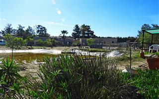 1 ha Farm in Morningstar