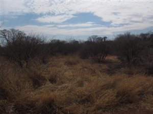 389 m² Land available in Northam