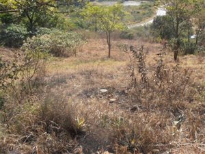 1.5 ha Land available in Cliffdale