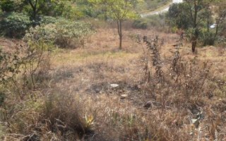 1.5 ha Land available in Cliffdale
