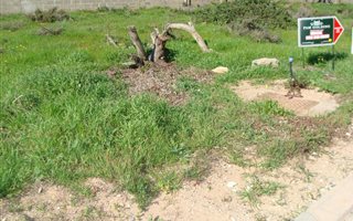 348 m² Land available in Langebaan North
