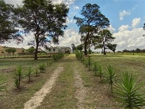 11.5 ha Farm in Tierpoort