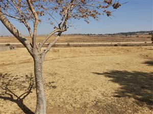 1200 m² Land available in Copperleaf