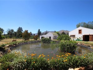 5.8 ha Smallholding in Joubertina