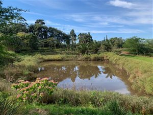 12 ha Farmland in Trafalgar