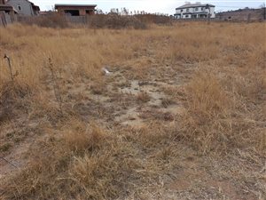 1468 m² Land available in Berg en Dal