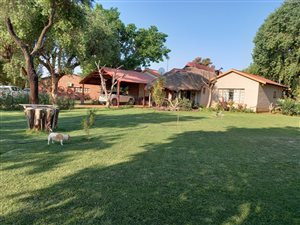 17.1 ha Farm in Bainsvlei