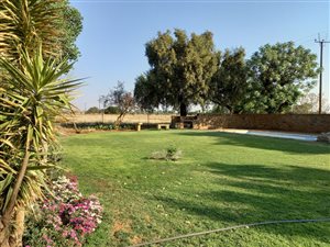 17.1 ha Farm in Bainsvlei
