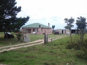 27.4 ha Farm in Hansmoeskraal