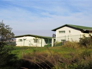 21 ha Farm in Dargle