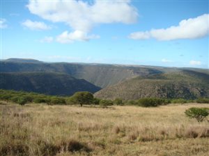 2516 ha Farm in Komga