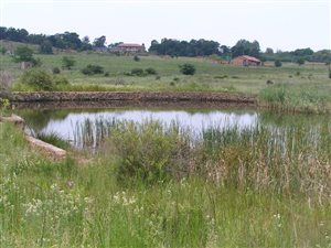 5 ha Land available in Rietfontein