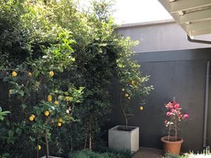 2 Bed Garden Cottage in Inanda