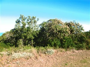 1309 m² Land available in Groot Brakrivier