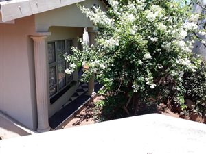3 Bed House in Lotus Park