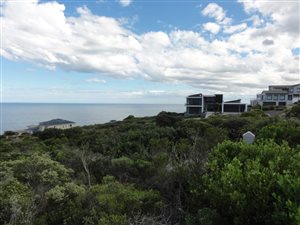 1195 m² Land available in Pinnacle Point Golf Estate