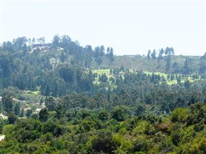 1010 m² Land available in Eastford Vale