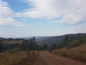 40.5 ha Farm in Ixopo