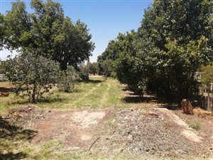 1200 m² Land available in Koster