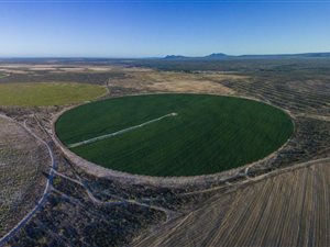 935 ha Farm in Graafwater