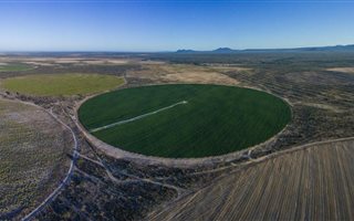 935 ha Farm in Graafwater