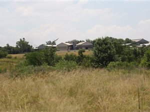 11 ha Land available in Ophir AH