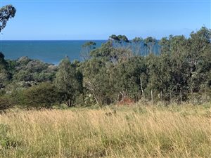 898 m² Land available in East London Central