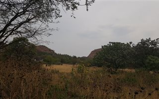 2.8 ha Land available in Heatherdale