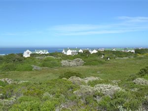 1.3 ha Land available in Cape St Francis