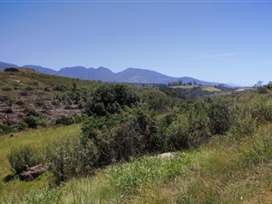 1120 m² Land available in Welgelegen Estate