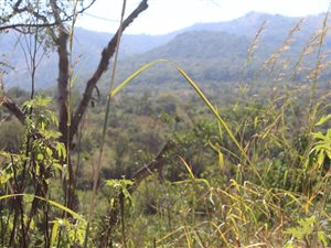 310 ha Land available in Barberton