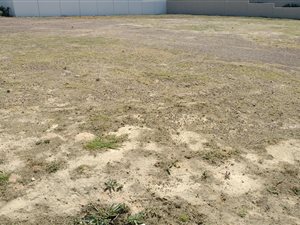 740 m² Land available in Graanendal