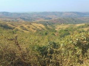 36.4 ha Farm in Oaklands