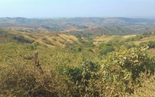 36.4 ha Farm in Oaklands