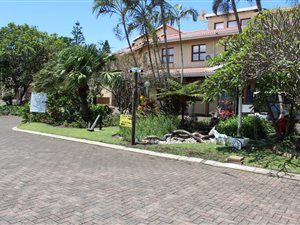 2 Bed Apartment in Palm Beach