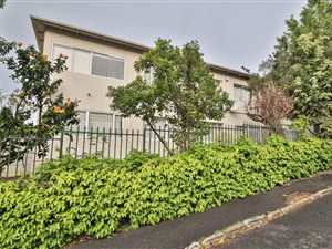 2 Bed Apartment in Rosebank