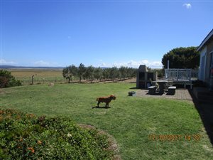 9 ha Farm in Vlees Bay