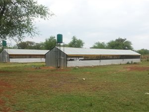4.3 ha Smallholding in Onderstepoort
