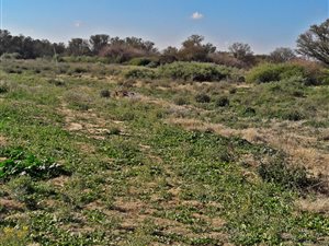 10 ha Land available in Bainsvlei