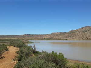 813 ha Farm in Aliwal North