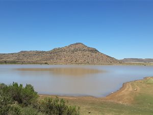 813 ha Farm in Aliwal North