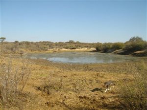 1199 ha Farm in Barkly West